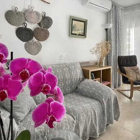 דירה Orquidea Con Piscina